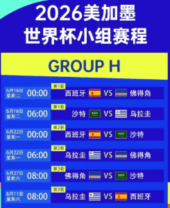世界杯足球赛精彩瞬间，2026年美加墨赛事
